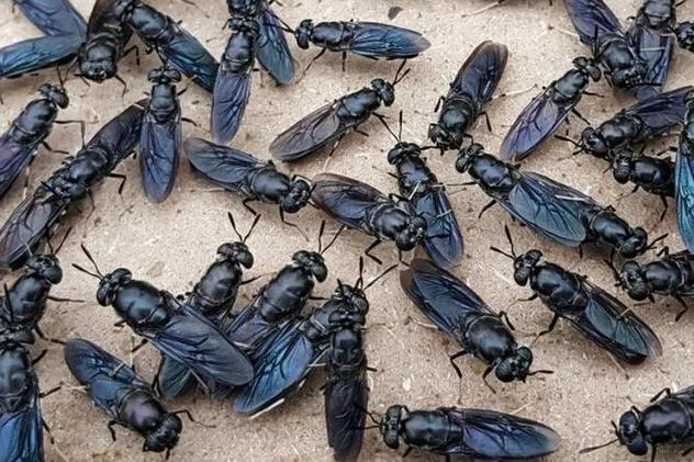 寿村是什么地方-英雄联盟投注